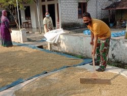 Berkat TMMD Petani dan Peternak menikmati Jalan Bagus Kodim Gresik