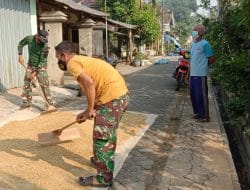 Satgas TMMD Kembali Hadir Ditengah Tengah Masyarakat Dengan Bantu Menjemur Padi Hasil Panen