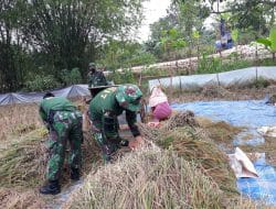 TMMD 111 Bikin Petani Tambah Semangat Kelola Lahan Pertanian
