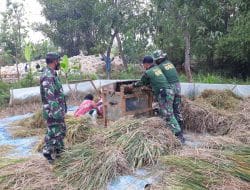 Satgas TMMD Coba Gunakan Alat Perontok Padi