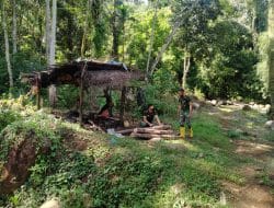 Mari Kita Jaga Kelestarian Hutan Hujan Tropis