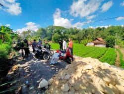 Untuk Pemadatan Jalan, Batu dihamparkan dan Dipadatkan