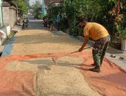 Menjemur Padi Satgas TMMD Seperti Ahlinya