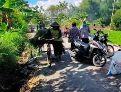 Semangat Warga Melakukan Aktifitas Yang Mempunyai Hewan Ternak, Harus Tetap Mencari Rumput Untuk Ternaknya