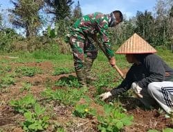 Bertani Kacang Tanah, Satgas Senang