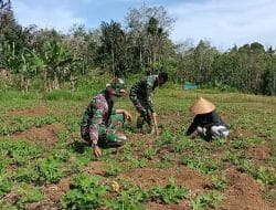 Bahu Membahu Siangi Rumput di TMMD