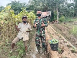 Petani dapatkan Promosi Gratis