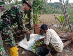 TMMD Kodim Tapsel Tingkatkan Kesejahteraan Warga