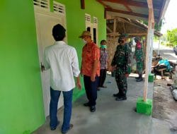 Jerami Untuk Pakan Ternak Hasil Permentasi Lebih Bervitamin Tinggi Dibanding Pakan Hijau Lainnya