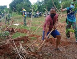 Anggota Satgas Bantu Cabut Singkong, Sekaligus Komsos Dengan Pemilik Lahan Singkong