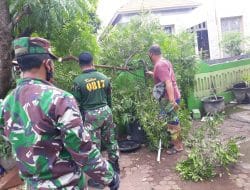 Satgas TMMD dan Warga Gotong Royong Tebang Pohon