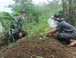 Prada Nanda Supriyadi HSB Tanpa Pamrih Bantu Bersihkan Tanaman Jahe