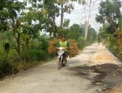 Jalan Membentang Luas Dibawah Biru Langit Desa Siwalan