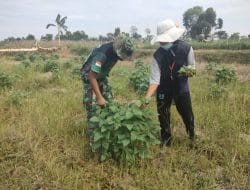 Tidak Ada Pekerjaan Yang Tidak Bisa Dilakukan Satgas TMMD