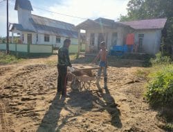 Anggota Satgas TMMD Ke-111 Dan Warga Setempat Dengan Semangat Menyaring Pasir