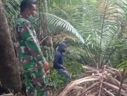 Serda Bahrum Wali Penuh Semangat Bantu Cari Kayu Pakis