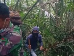 Satgas Mudahnya Cari Kayu Pakis di Hutan