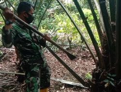 Pengamalan Nilai-nilai Pancasila dalam Giat Menunas Kelapa Sawit