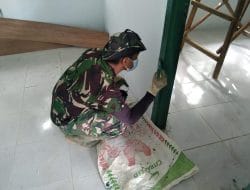 Keahlian Anggota Satgas TMMD Memainkan Kuas Cat, Kusen Pintu Dan Jendela Pustu Kelar Dalam Satu Hari