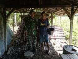 Bersama Orang Tua Asuh Anggota Satgas TMMD Ke-111 Kodim 1202/Skw Mencari Sayur Di Kebun