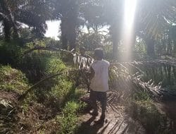 Antusias anggota satgas bantu masyarakat membersihkan kebun kelapa sawit