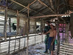 Disela Waktu Luang Bekerja, Anggota Satgas TMMD Ke-111Kodim 1207/Pontianak Mengunjungi Kandang Ayam Milik Warga   