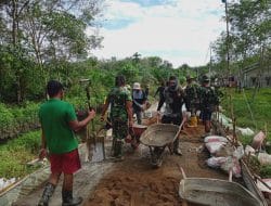 50 Kabupaten dan Kota Serentak Melaksanakan TMMD Ke-111   