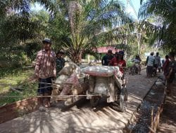 Gerobak Angkutan Andalan di Lokasi TMMD Ke-111 Kodim 1207/Pontianak