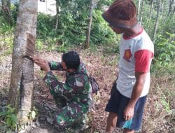 Manfaatkan Waktu Istrahat, Anggota Satgas TMMD Ke-111 Kodim 1207/Pontianak Bantu Warga Sadap Karet