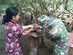 Satgas TMMD ke-111 kodim 1207/Pontianak Mendatangi Peternakan Madu Kelulut warga.