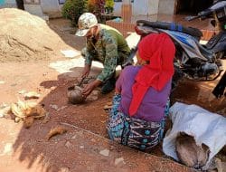 Senyum Bangga Ibu Supi’ah Saat Sertu Komang Membantu Kupas Kelapa