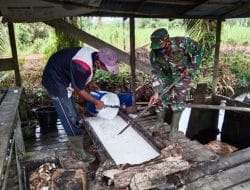 Eratkan Silaturahmi, Satgas TMMD Ke-111 Kodim 1207/Pontianak Komsos dan Membantu Petani Karet