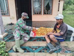 TMMD Ke-111 di Desa Kuala Mandor B Anggota Kodim 1207/Pontianak Dampingi Petani Cabai Yang Sedang Panen