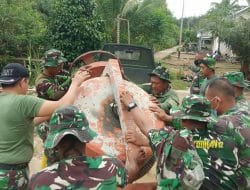 Operator Mesin Molen Yang Cekatan di Lokasi TMMD Ke-111 Kodim 1207/Pontianak   