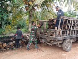 Satgas TMMD Ke-111 Bantu Warga Pikul Kayu