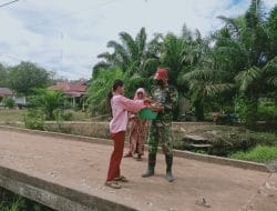 Tanaman Pisang Tumbuh Subur Dikebun Petani Desa Siwalan