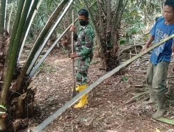 Pantang Menyerah Untuk Selesaikan Penunasan Kelapa Sawit