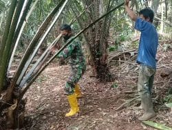Totalitas Kerja Satgas dalam Menunas Kelapa Sawit