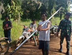 Anggota Satgas Membantu Warga Panen Buah Sawit