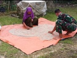 anggota satgas TMMD bantu warga jemur sahang