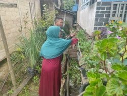 Jalin Keakraban Anggota Satgas TMMD Ke-111 Kodim 1202/Skw Bantu Orang Tua Asuh Petik Sayuran