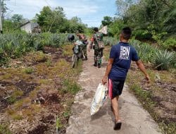 Babinsa Kodim 1207/Pontianak Bantu Masyarakat Membawa Hasil Kebun Pasca TMMD Ke-111 Di Dusun Maju Jaya
