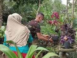 Satgas Serka Adi S Napitu Bantu Bersihkan Tanaman Bunga