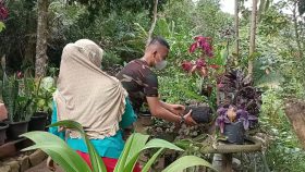  Nurmala  Tanjung Cara menyiram Tanaman Bunga  yang Baik 