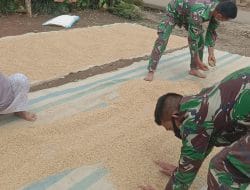 Guyup Rukun dengan Warga, Satgas Bantu Jemur Padi