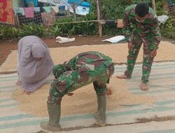 Cuaca Panas Warga Semangat Jemur Padi