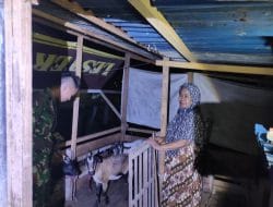 Anggota Satgas Melihat Peternakan Kambing