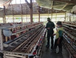 Kiprah Angkong Ringankan Beban Satgas Dan Warga