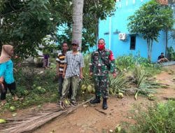 Penjual Kelapa Muda Nikmati Fasilitas Jalan Yang Baru Dibangun Oleh Satgas TMMD Ke-111 Kodim 1207/Pontianak