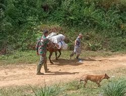 Jalan Baru Hasil TMMD Tapsel, Tak Ada Lagi Mobil yang Terperosok